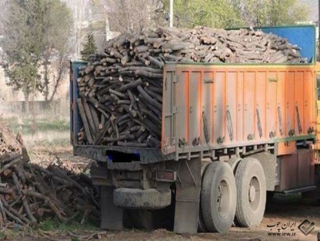 قاچاق چوب تهدید برای جنگل‌های طارم