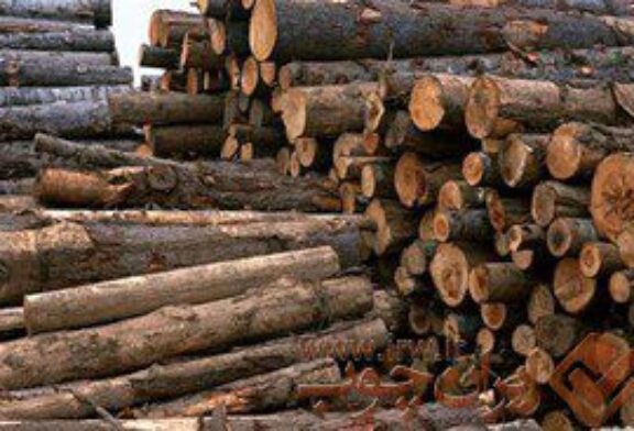 روسیه تامین‌کننده بیش از ۹۵ درصد چوب وارداتی ایران