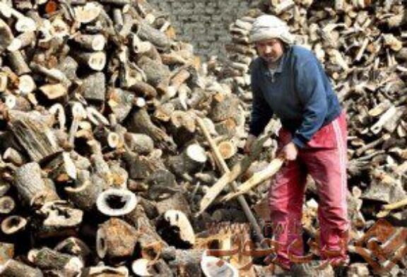 افزایش قیمت چوب در بازارهای افغانستان همزمان با فصل سرما