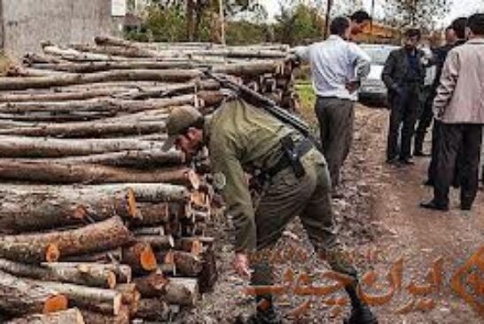 کشف ۱۸ تُن چوب قاچاق در شهرستان اردستان