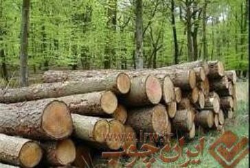 چوب آلات قاچاق جنگلی در اردبیل کشف شد