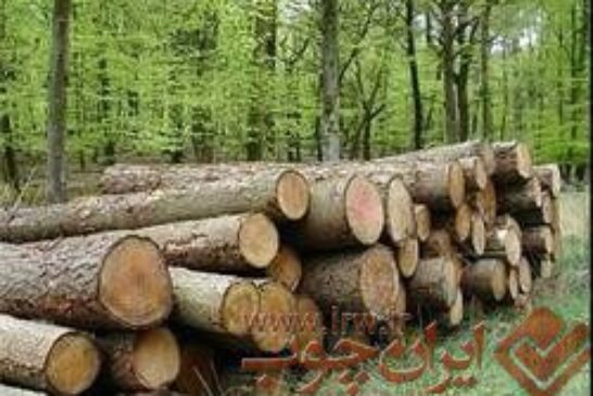 چوب آلات قاچاق جنگلی در اردبیل کشف شد