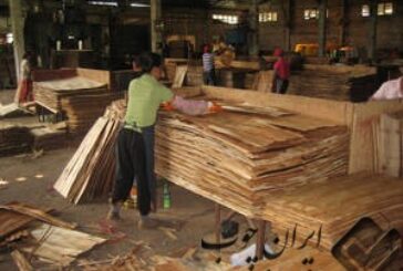 تولید جهانی چوب برای چهارمین سال پیاپی افزایش یافت