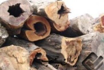 استفاده از چوب و فرآورده های چوبی در بهینه سازی مصرف انرژی