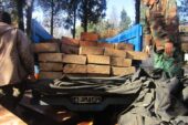 کشف محموله قاچاق الوار چوب در گلستان 