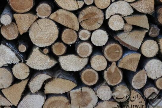 کشف ۱۳ تن چوب قاچاق جنگلی در اردبیل