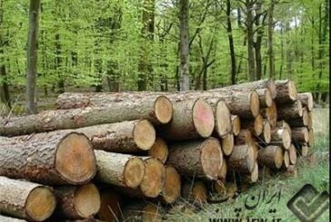 منابع طبیعی طارم با قاچاقچیان چوب به شدت برخورد می‌کند