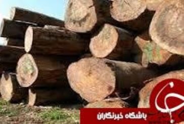 کشف ۸ تن چوب قاچاق در شفت