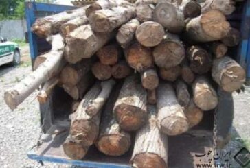 محموله چوب قاچاق در شهرستان رشت کشف و ضبط شد