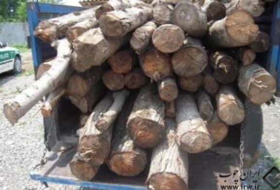 محموله چوب قاچاق در شهرستان رشت کشف و ضبط شد