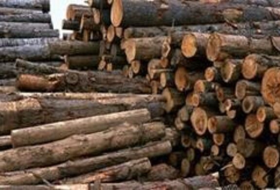 قاچاقچی چوب جنگلی در اردل دستگیر شد
