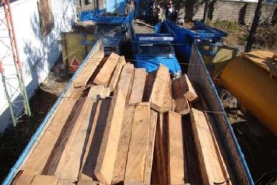 بیش از ۱۸ هزار اصله چوب قاچاق در آستارا کشف شد