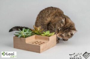 eco-planter-kitty