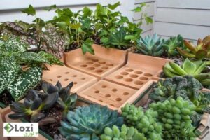 ideas-planter-design