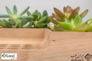 planter-design-7