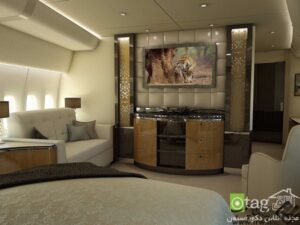 luxury-home-inside-private-airplane-design-1