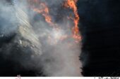 بزرگترین انبار چوب پایتخت در میان شعله ها+عکس