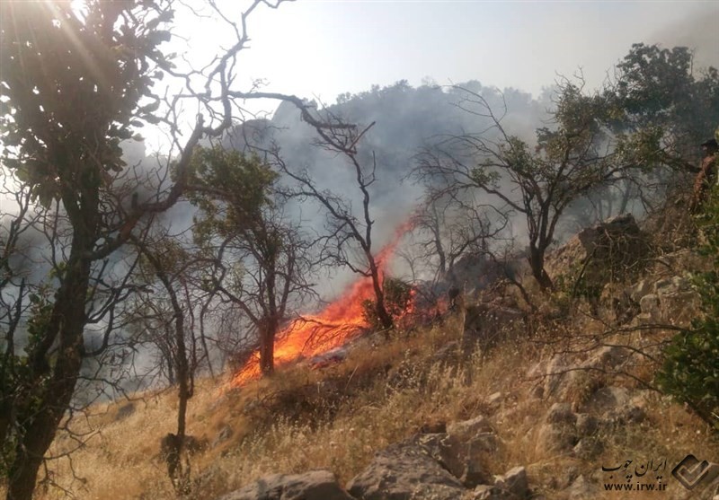 آتش بی‌رحمانه مراتع و جنگل‌های طسوج چرام را سوزاند
