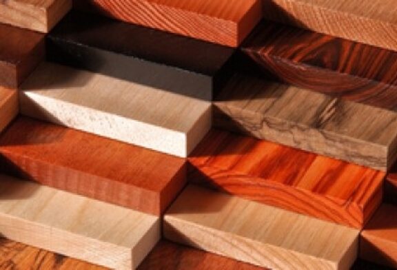 شناخت انواع چوب و کاربرد آنها